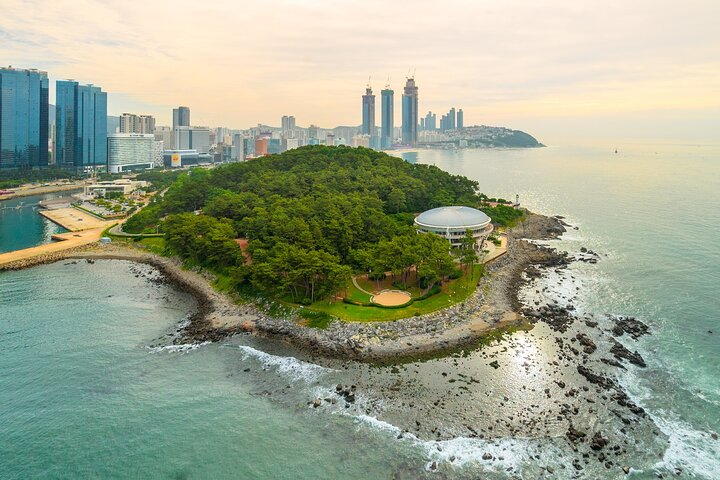 Experience the blend of nature and modernity in Busan where lush landscapes meet stunning cityscapes perfect for exploration and discovery after a scenic KTX journey from Seoul.